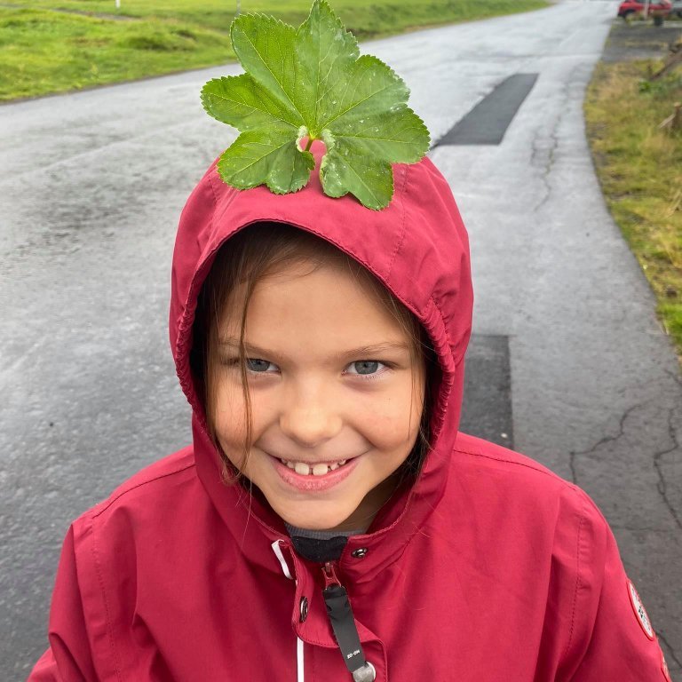 241989234_1011488146342151_2868569849715027481_n