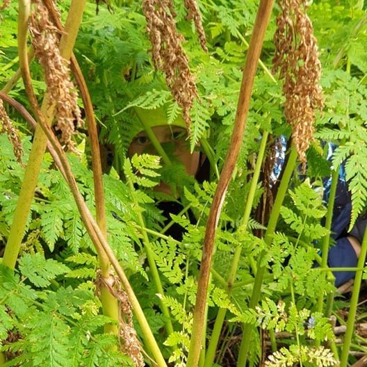 241995367_860193854872206_6697178277176650825_n