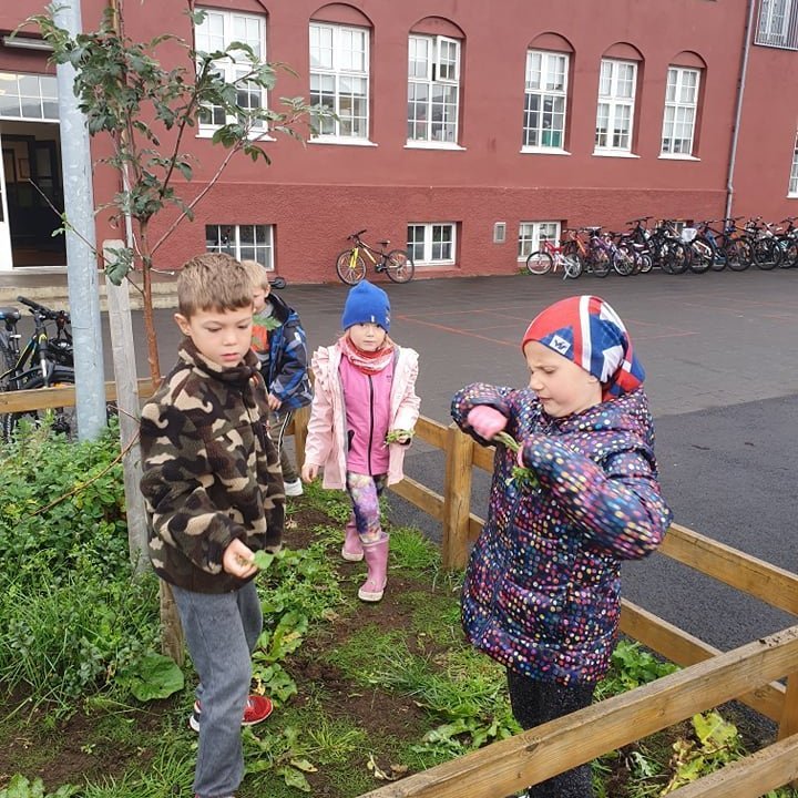 241999110_773010993447614_8006510282789476285_n-2