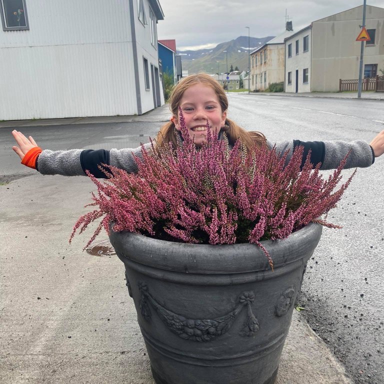 242009337_399521938228087_8354470673798878407_n