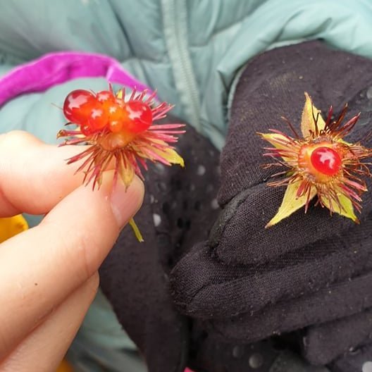 242010263_1482144368818368_975660752811228466_n-1