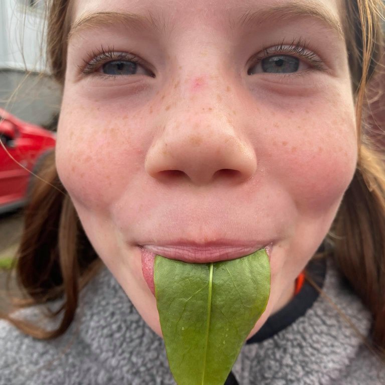 242011921_859709501351744_2271408144201511110_n