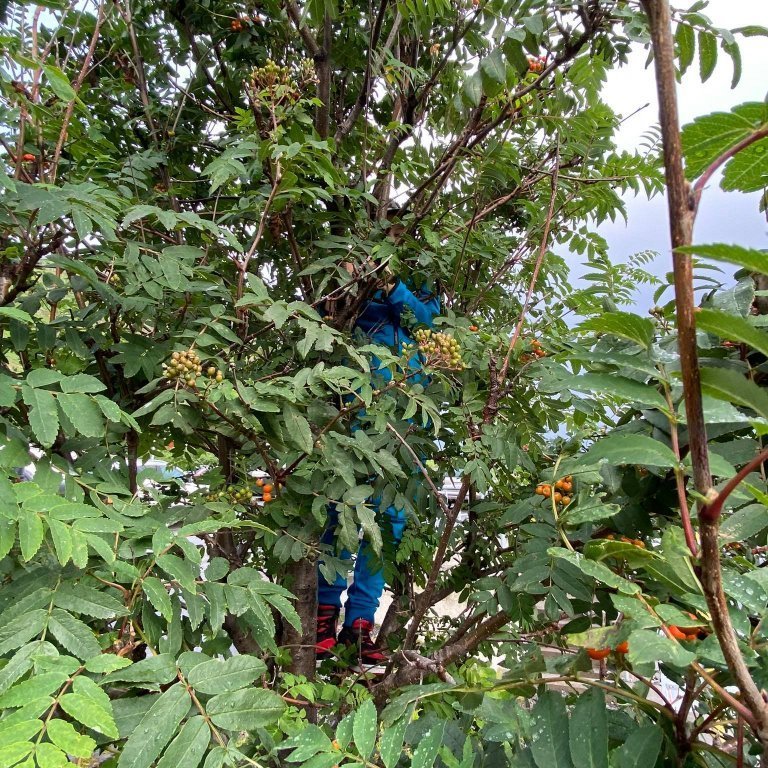 242013103_901851487206002_1545019473325532348_n