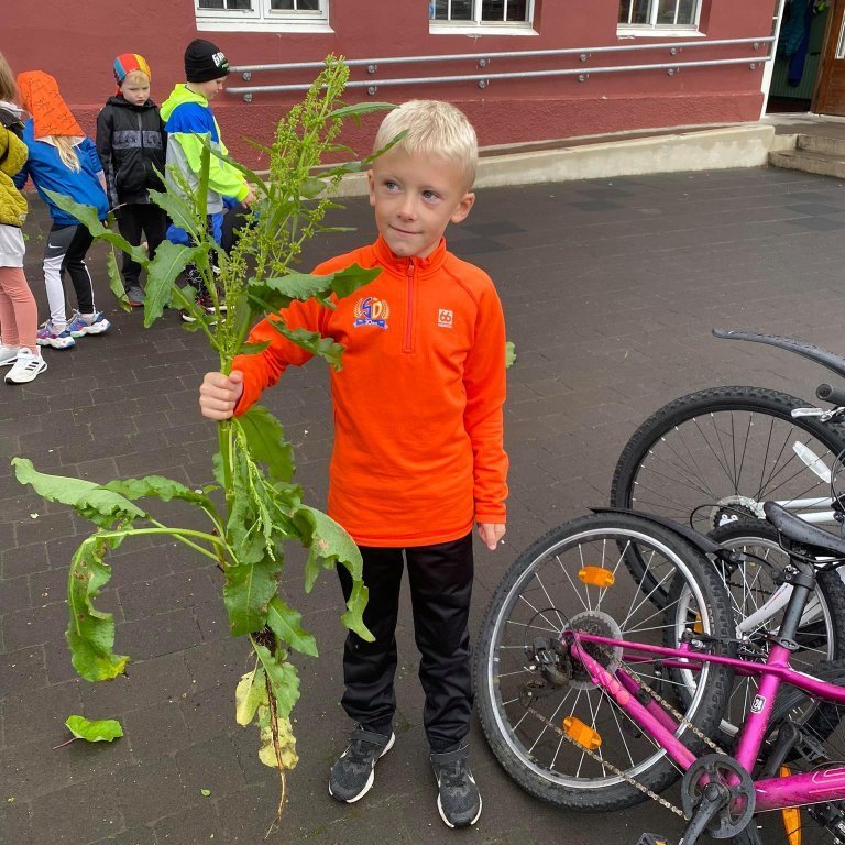 242025839_1062197431222159_2699294013276820460_n