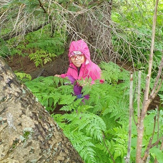 242036304_535566997512652_6334710710056752562_n