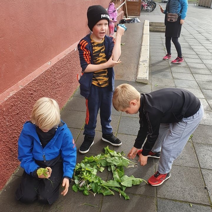 242039935_4368645986546399_3957381349488395807_n-2