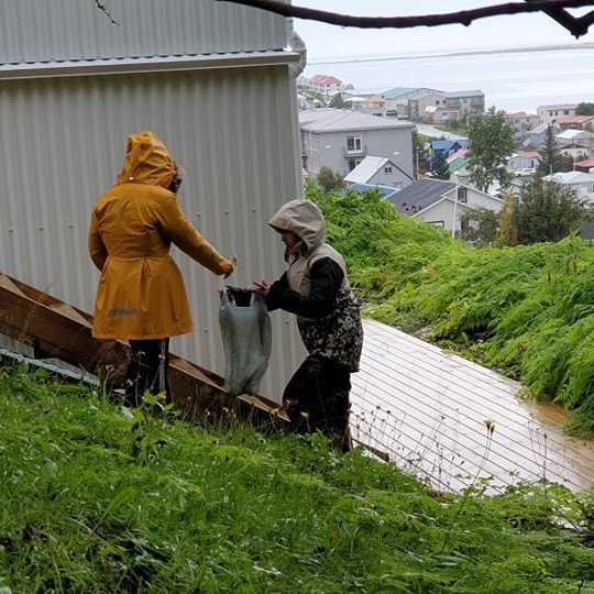 242046588_330876142135212_7250547251793041841_n