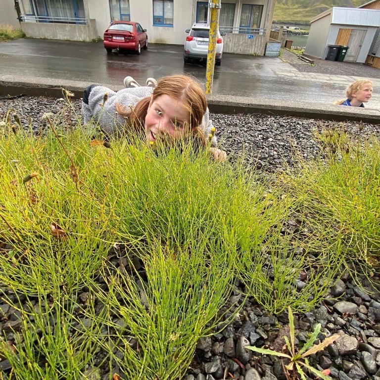 242057286_6351983301480186_3912222844457544058_n