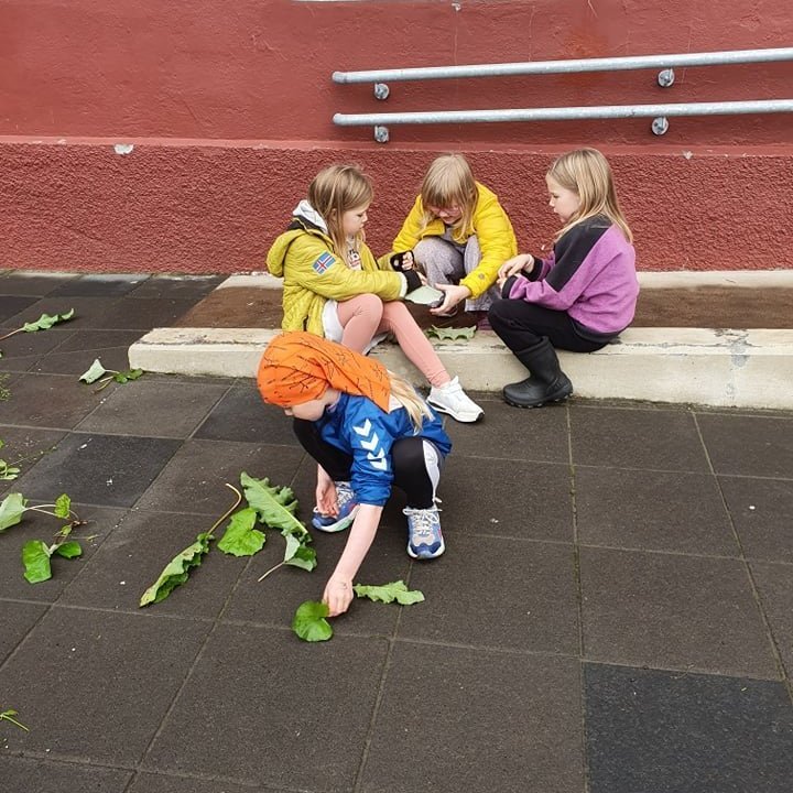 242061129_391231142745466_3500218104731646001_n-3