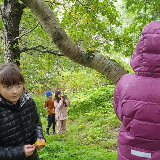 242065812_398484261633890_4697740149770877305_n