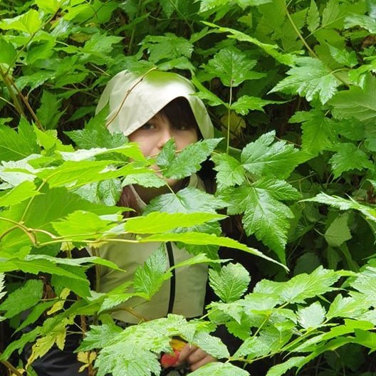 242079332_374006364443749_4015450721519428225_n