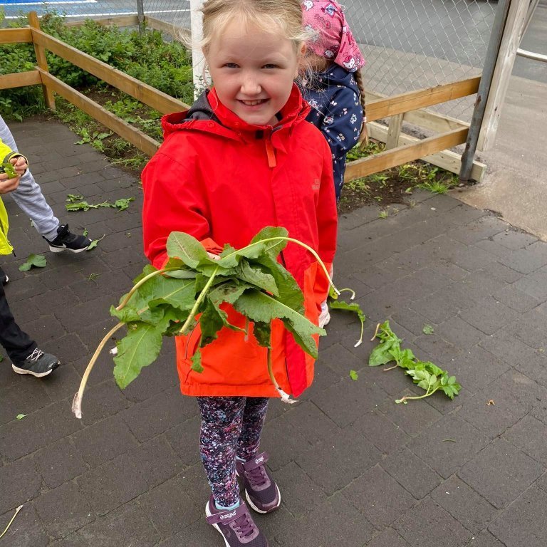 242085420_321760209717254_7336066947801885025_n