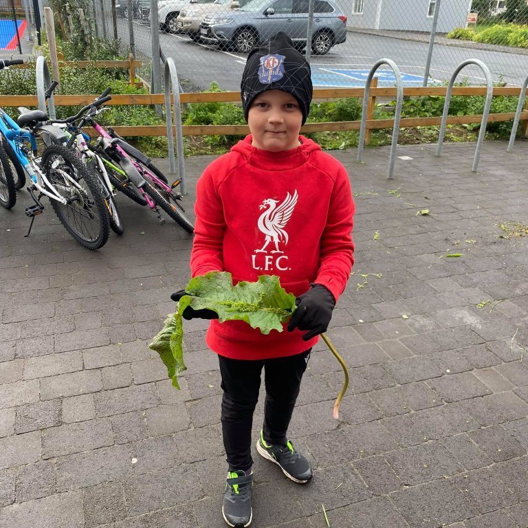 242130709_277391093976101_6857757753355380895_n