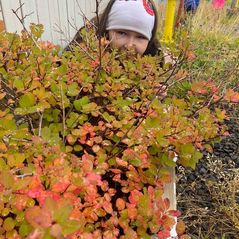 242136282_283676426621569_450075687773187537_n