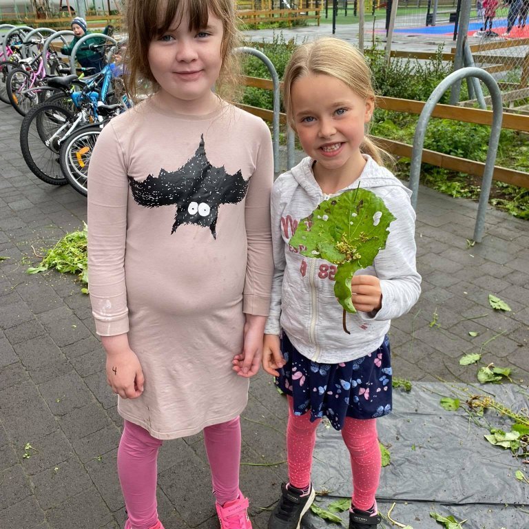 242164644_573653007085857_5985196566460932451_n