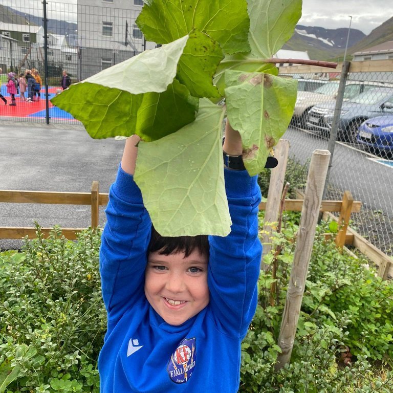 242217094_249350140286261_3508701514241530795_n