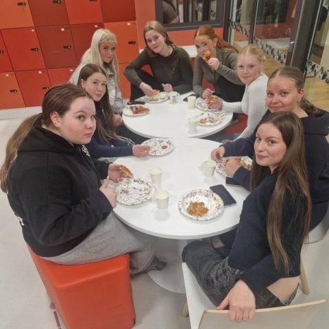 Finnlandsferð