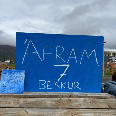 Fótbolti 7. b.