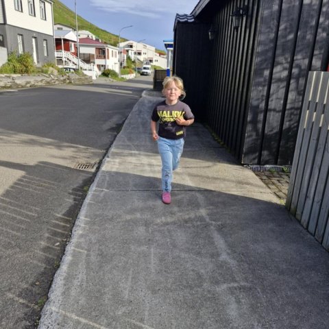 Hreystidagur haust 2025