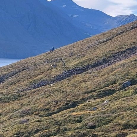 Hreystidagur haust 2025