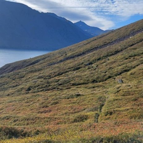 Hreystidagur haust 2025