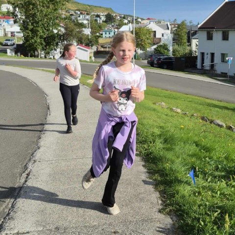 Hreystidagur haust 2025
