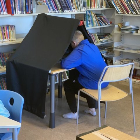 Krakkakosningar 2024