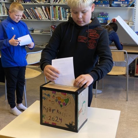 Krakkakosningar 2024