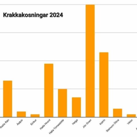 Krakkakosningar 2024