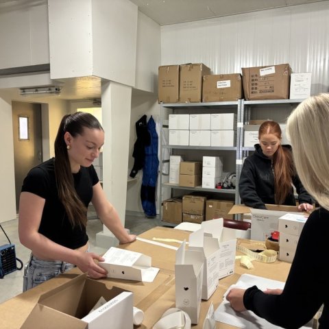 Eva María Merenda, Silja Rún Þorvaldsdóttir og Sigurlaug Sturludóttir – Primex