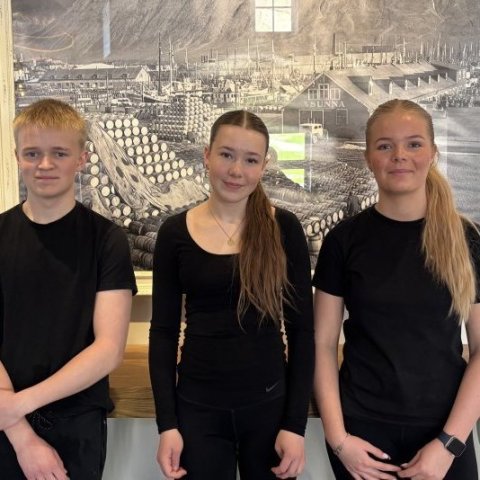 Tómas Ingi Ragnarsson, Emma Hrólfdís Hrólfsdóttir og Edda Björg Magnúsdóttir – Siglóveitingar