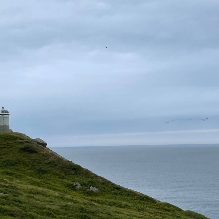 240399345_917965178800505_8798958579006848340_n