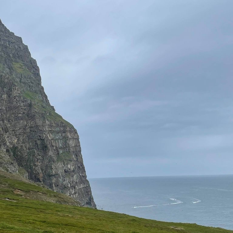 240491464_145124487793588_4543809642862147246_n