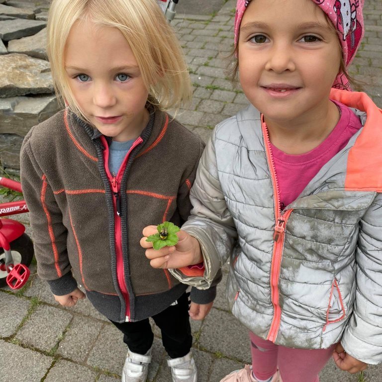 241098393_272536364697824_1388869261836873633_n