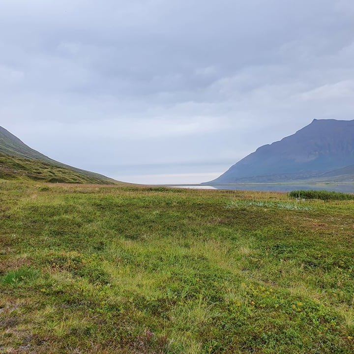 241121490_1567907033541271_1447900731374101413_n