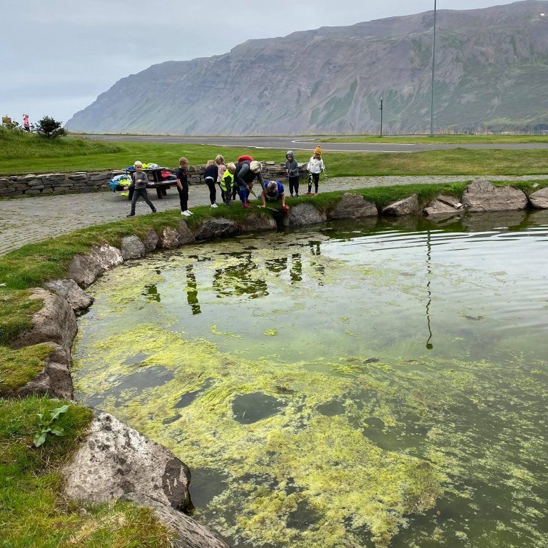 241222366_587242312475365_8207249992288976927_n