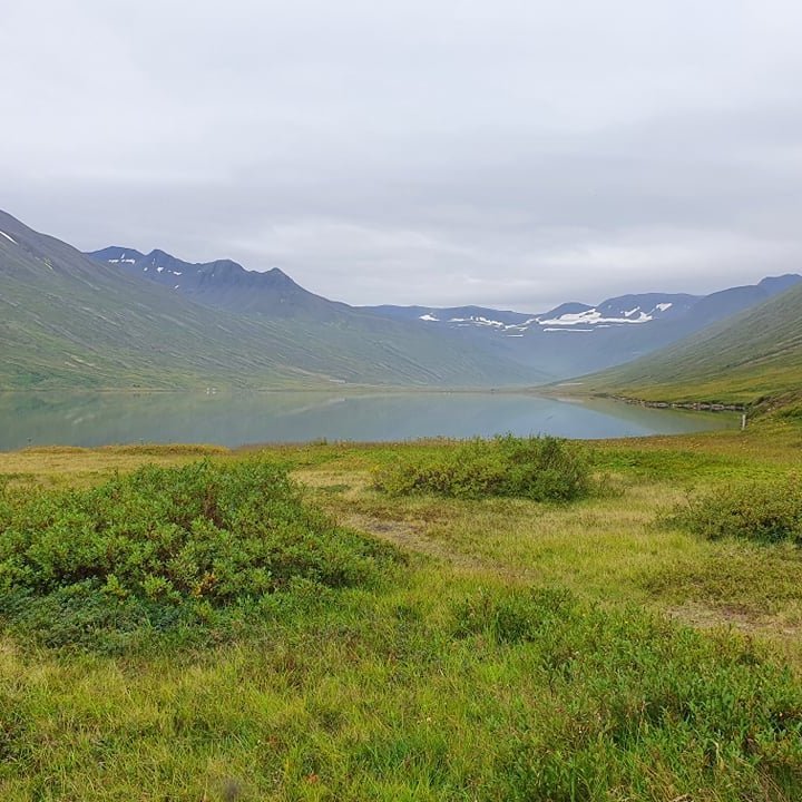 241510053_310056260875670_1286587019133922350_n