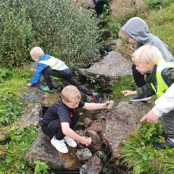 242014990_195777309288266_9098354551125287175_n