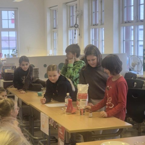 Vísindasýning - 5. bekkur 