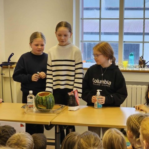 Vísindasýning - 5. bekkur 