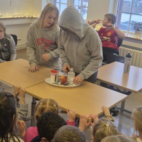 Vísindasýning - 5. bekkur 