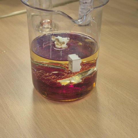 Vísindasýning - 5. bekkur 