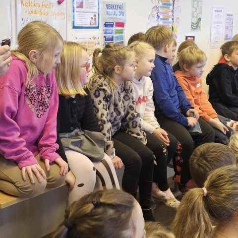 Vísindasýning - 5. bekkur 