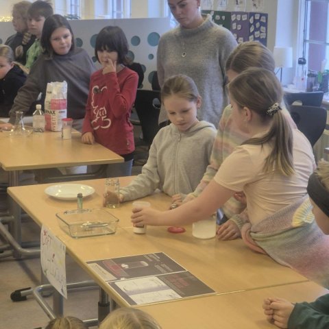 Vísindasýning - 5. bekkur 