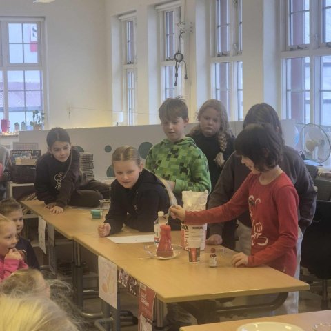 Vísindasýning - 5. bekkur 