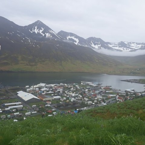 Vorferð