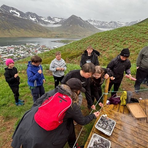 Vorferð
