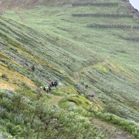 Vorferð