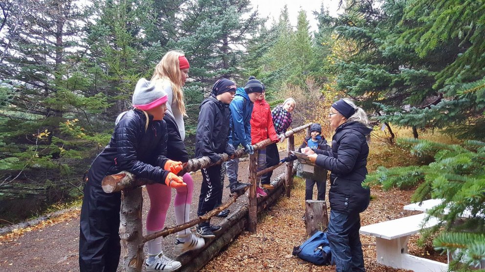 Kennsla í skógræktinni