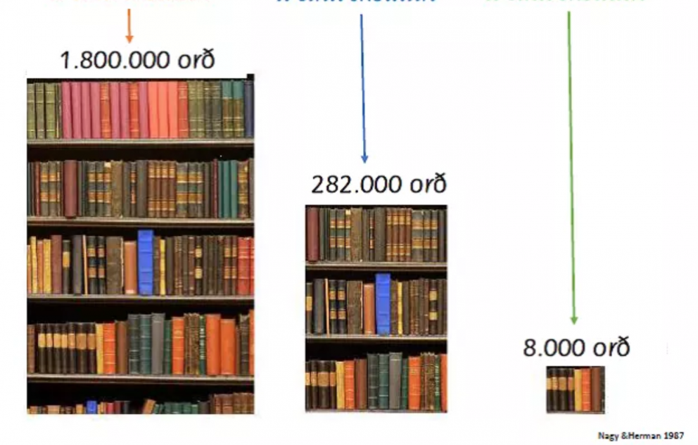 Hver vegna er mikilvægt að lesa daglega?